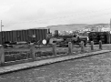 planta007.jpg