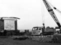 planta019.jpg