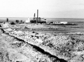 planta048.jpg