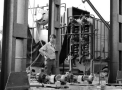 planta057.jpg