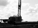 planta069.jpg