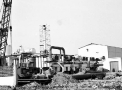 planta089.jpg