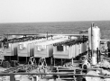 planta097.jpg