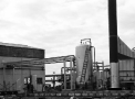 planta098.jpg
