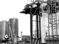 planta109.jpg