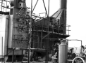 planta111.jpg