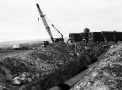 planta116.jpg