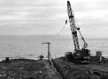planta118.jpg