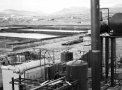 planta119.jpg