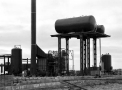 planta120.jpg