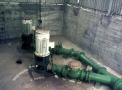 planta133.jpg