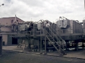 planta137.jpg
